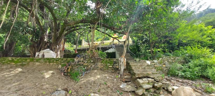 Image 6