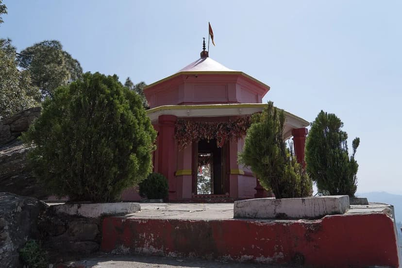 Image 7