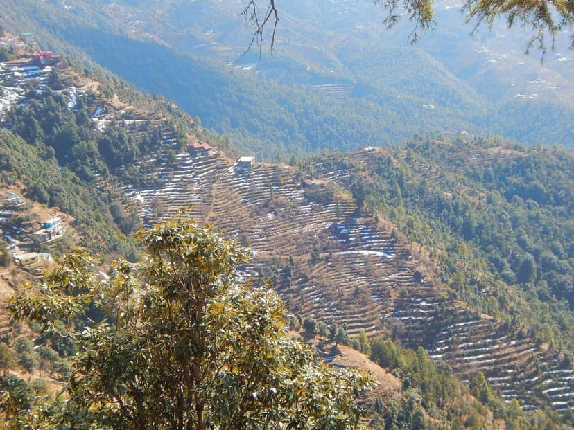 Image 11