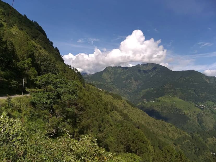 Image 11